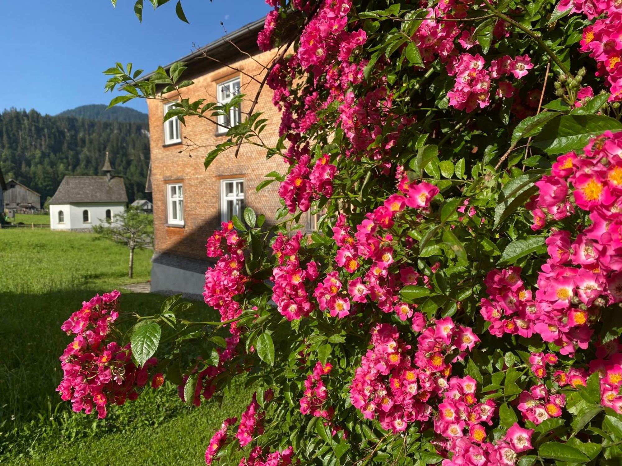 Bregenzerwaelderhaus Ambros Villa Bezau Luaran gambar