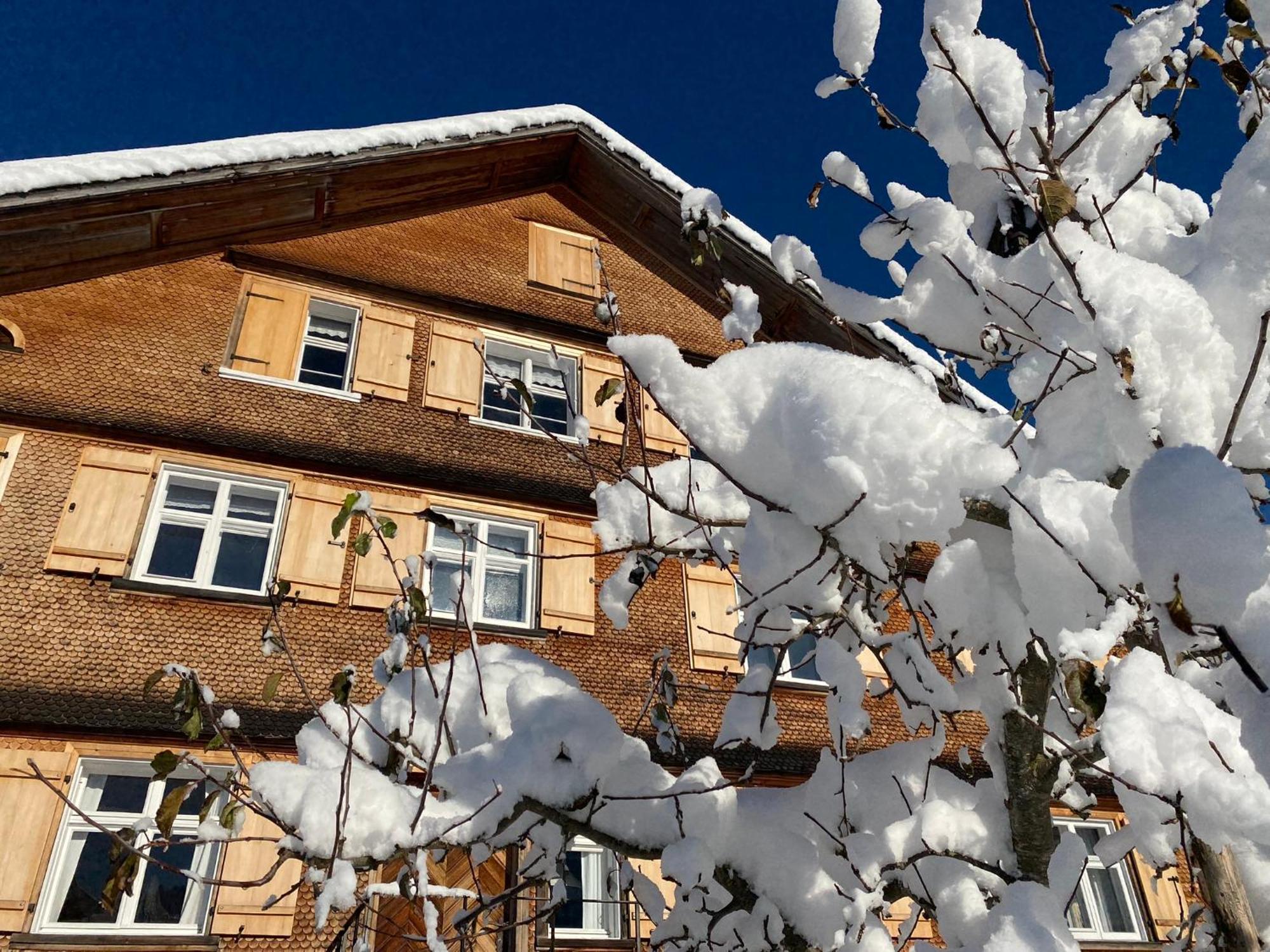 Bregenzerwaelderhaus Ambros Villa Bezau Luaran gambar