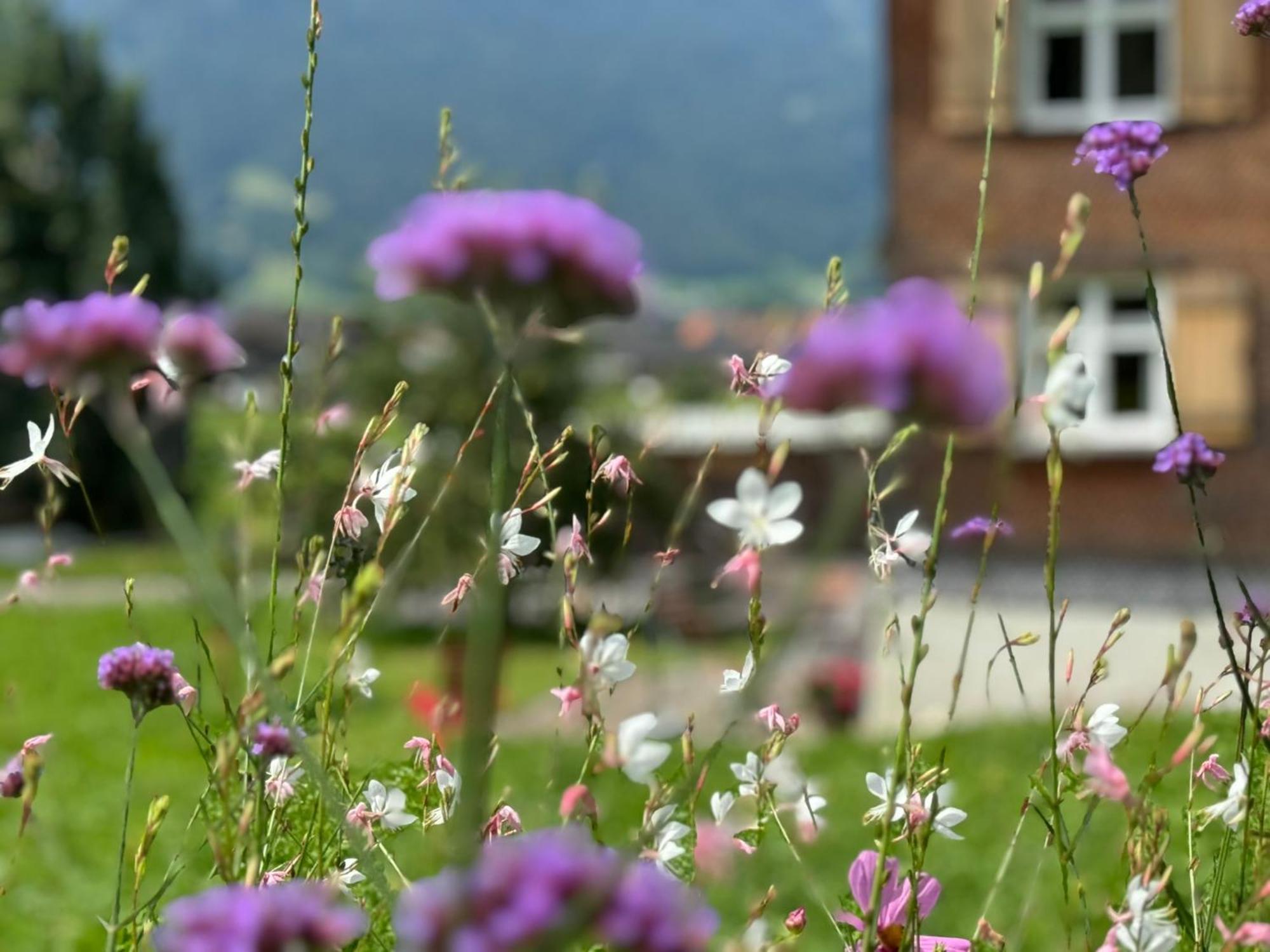 Bregenzerwaelderhaus Ambros Villa Bezau Luaran gambar